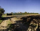 Splendido Casale 250 mq  con  3.200 mq di Terreno