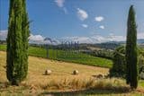 Torresquadrata, 06059 Todi (PG)