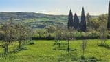 Splendida Villa 300 Mq ecosostenibile, vista Todi
