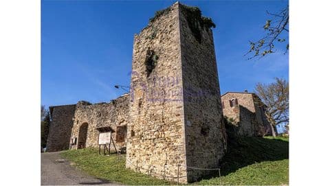 Torre Assignano