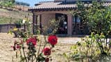 Splendida Villa 300 Mq ecosostenibile, vista Todi