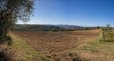 Terreno Agricolo