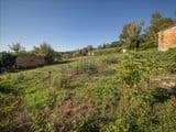 Azienda Agricola San Valentino