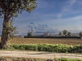 Splendido Casale 250 mq  con  3.200 mq di Terreno