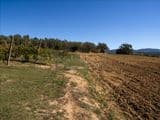 Terreno Agricolo