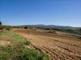 Terreno Agricolo