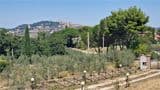 Splendida Villa 300 Mq ecosostenibile, vista Todi