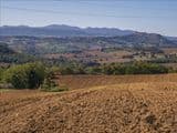 Terreno Agricolo