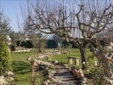 Splendido Casale 250 mq  con  3.200 mq di Terreno