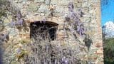 Casale l'Edera - in pietra, da ristrutturare