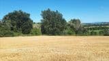 Casale l'Edera - in pietra, da ristrutturare