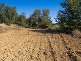 Terreno Agricolo