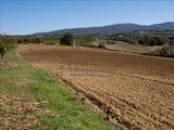 Terreno Agricolo