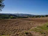 Terreno Agricolo