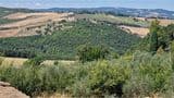 Splendida Villa 300 Mq ecosostenibile, vista Todi