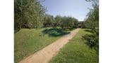 Strada Provinciale 41, 05026 Montecastrilli (TR)