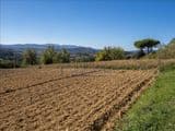 Terreno Agricolo