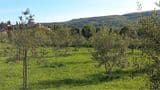 Splendida Villa 300 Mq ecosostenibile, vista Todi