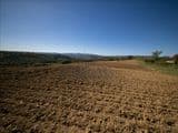 Terreno Agricolo