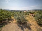 Villa singola con terreno privato, appartamento indipendente e dependance.