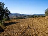 Terreno Agricolo