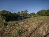 Azienda Agricola San Valentino