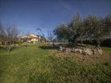 Splendido Casale 250 mq  con  3.200 mq di Terreno