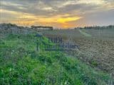 baschi, 05023
