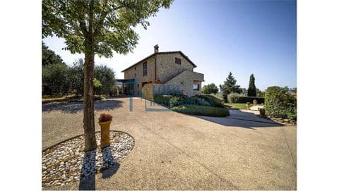 Strada Provinciale 41, 05026 Montecastrilli (TR)