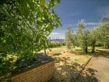 Villa singola con terreno privato, appartamento indipendente e dependance.