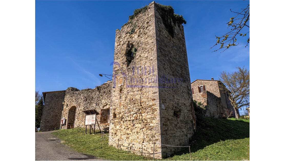 Torre Assignano